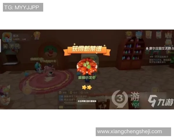 黄芳独家分享王者荣耀游戏心得与技巧助你轻松上分的秘密武器